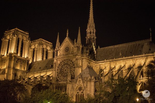 Notre Dame in night